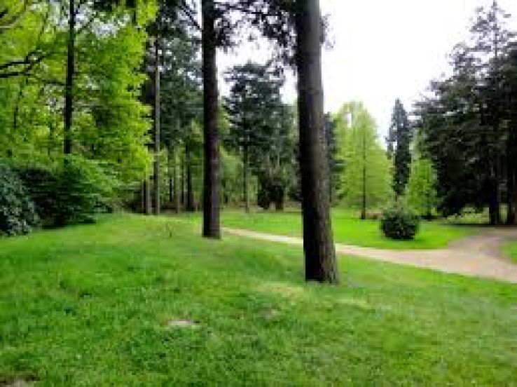 Stabroek Trip Packages