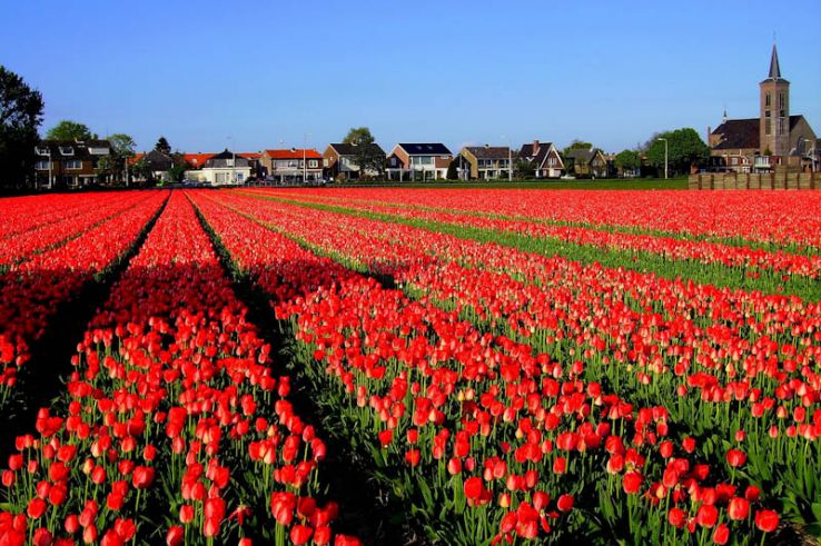 Hillegom Trip Packages