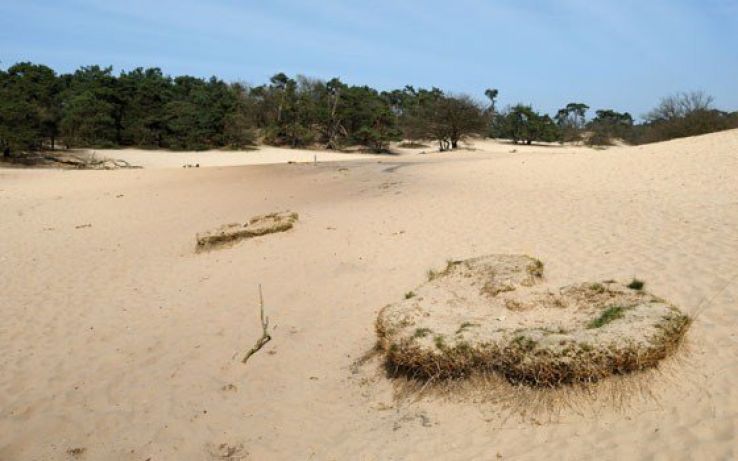 Drunen Trip Packages