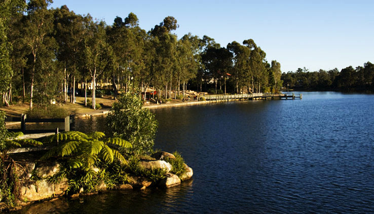 Forest Lake Trip Packages