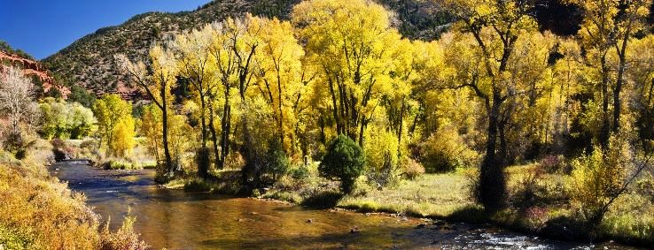 Basalt Trip Packages