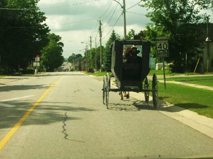 Chesley Trip Packages