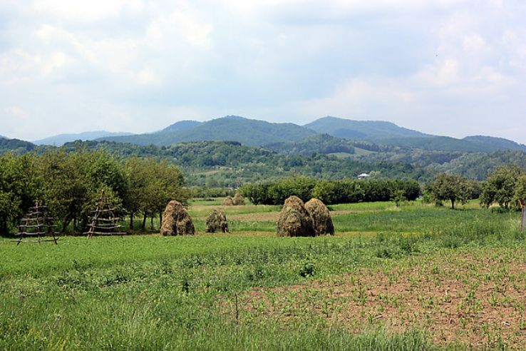 Musatesti Trip Packages