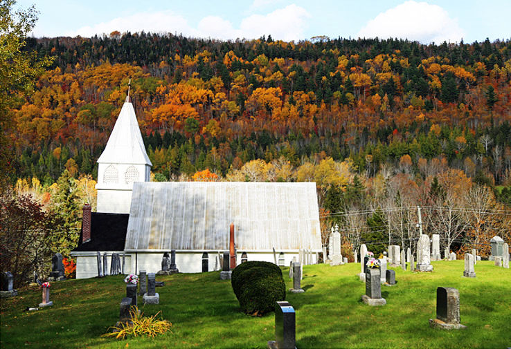 Waterford Trip Packages