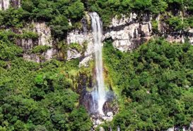 Gravata Trip Packages