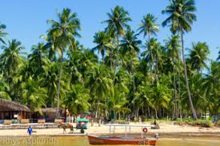 Guadalupe Trip Packages