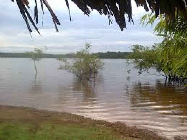 Piripiri Trip Packages