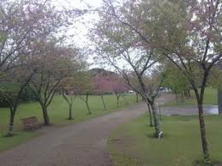 Cerejeiras Trip Packages