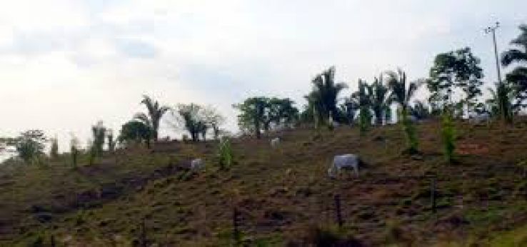 Xambioa Trip Packages