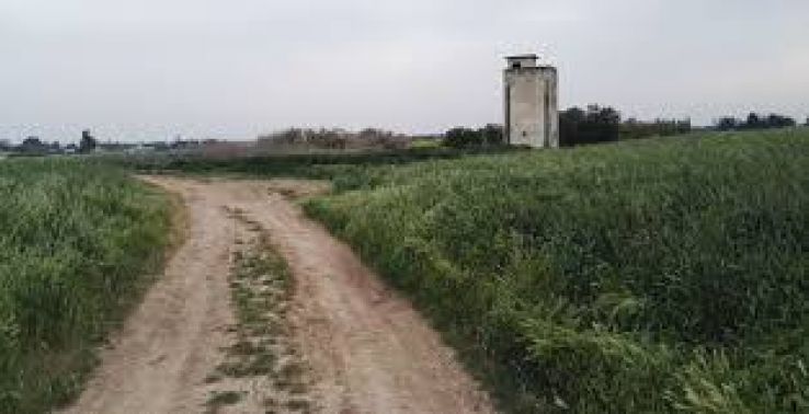 Kiryat Malakhi Trip Packages