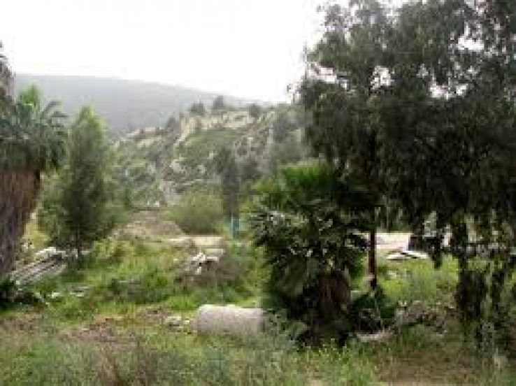 Nesher Trip Packages