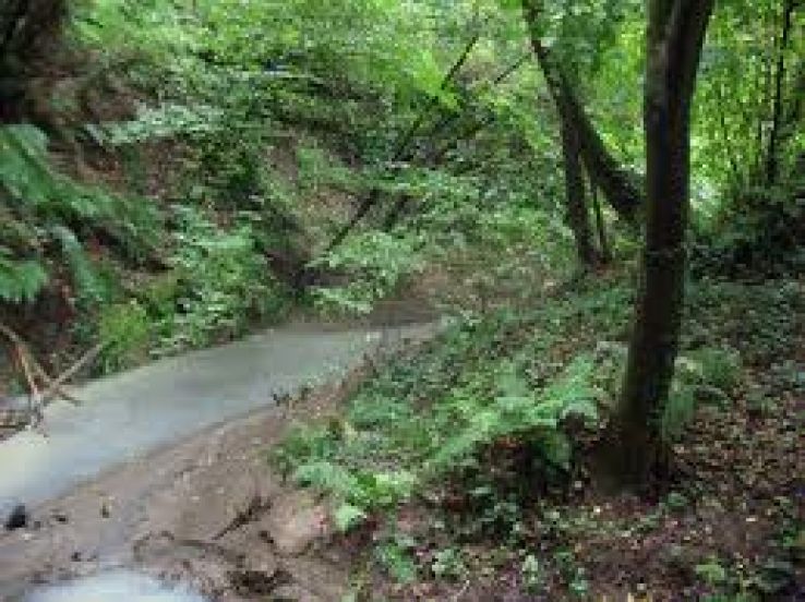 Formello Trip Packages