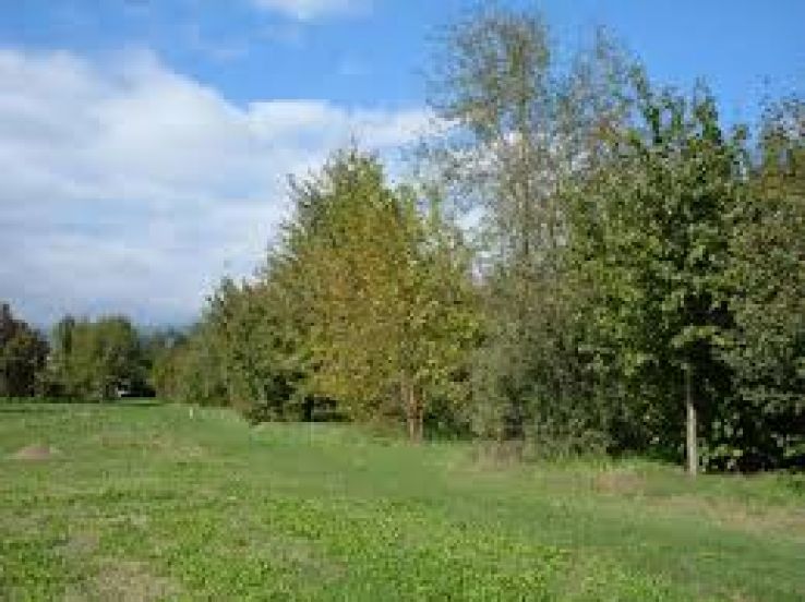 Cairo Montenotte Trip Packages