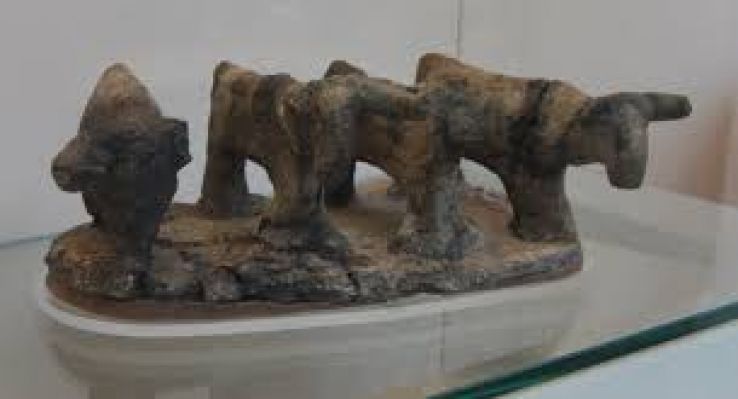 Naqadah Trip Packages