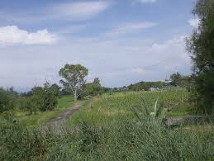 Melchor Ocampo Trip Packages