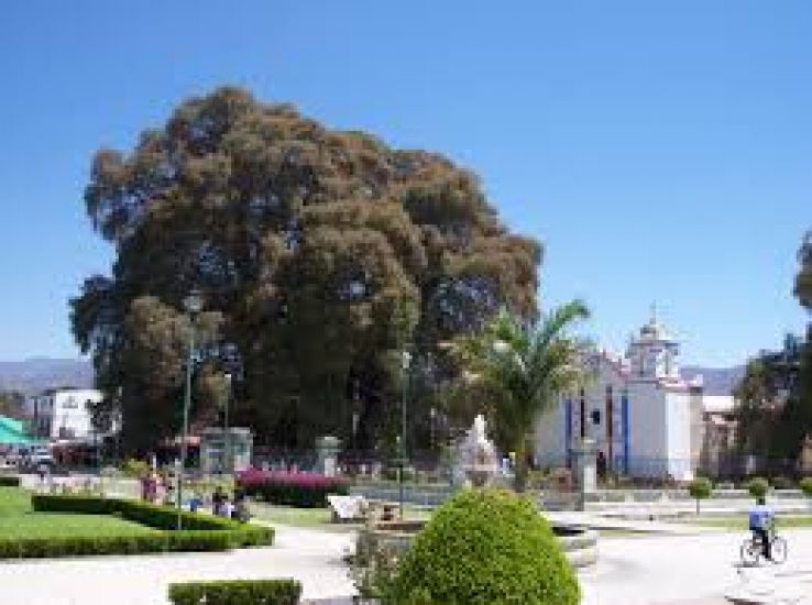 Santa Maria del Tule Trip Packages