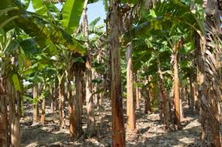 Otatitlan Trip Packages