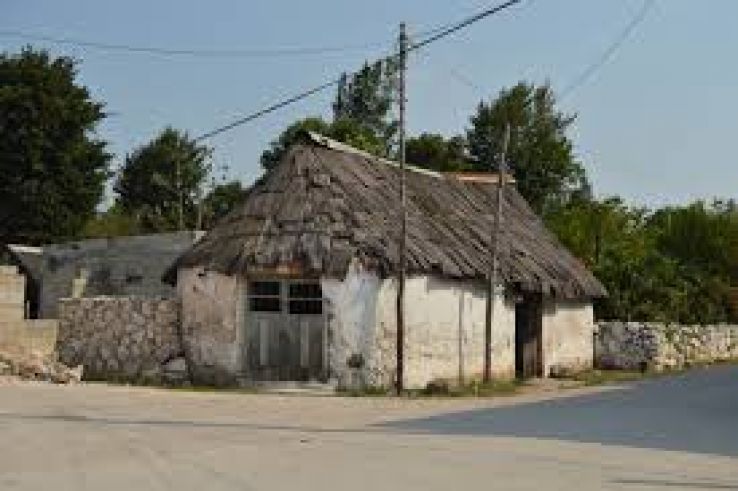 Dzitas Trip Packages