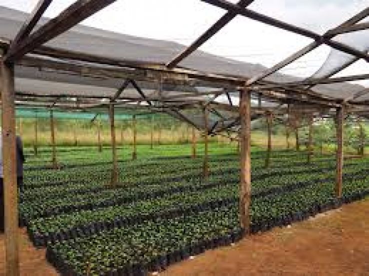 Karatina Trip Packages