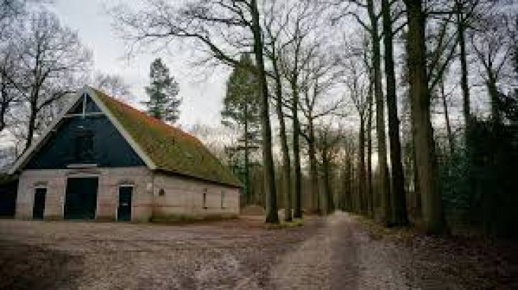 Ermelo Trip Packages