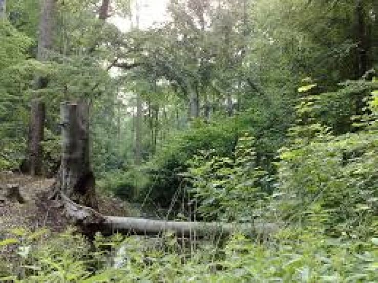 Bunnik Trip Packages