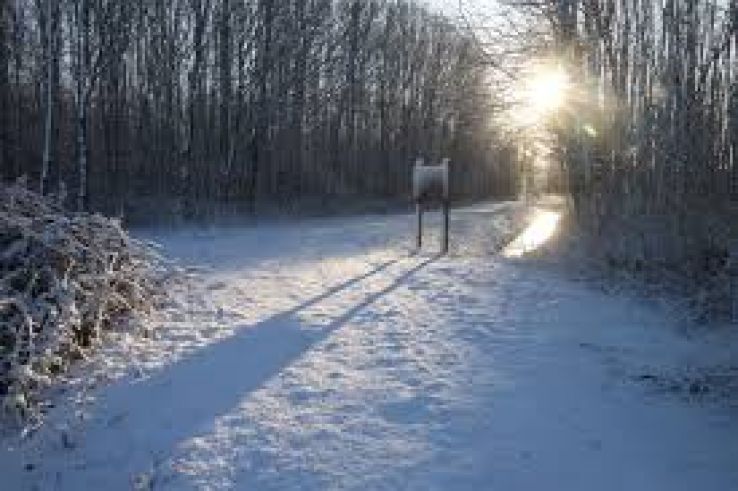 Spijkenisse Trip Packages