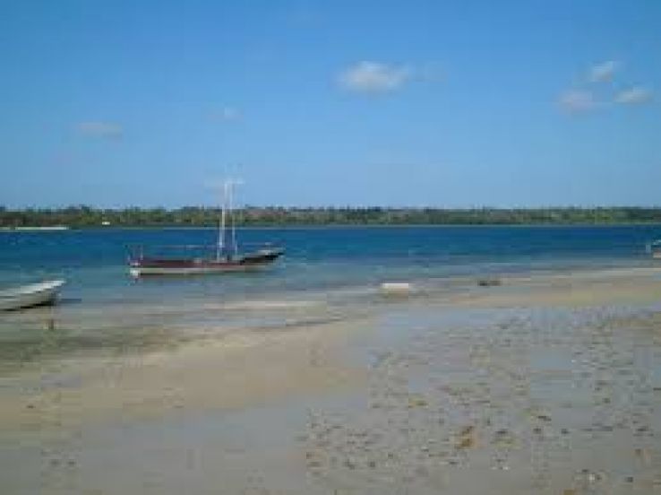 Magical 7 Days Zanzibar with Selous Game Reserve Holiday Package