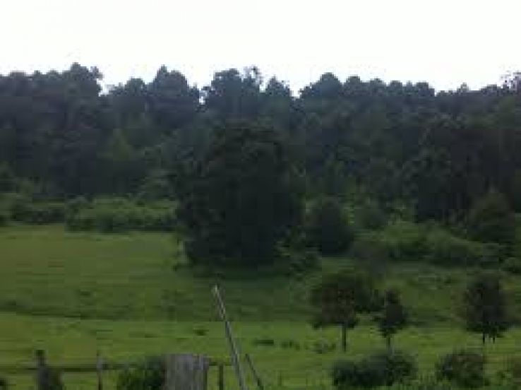 Media Luna Trip Packages