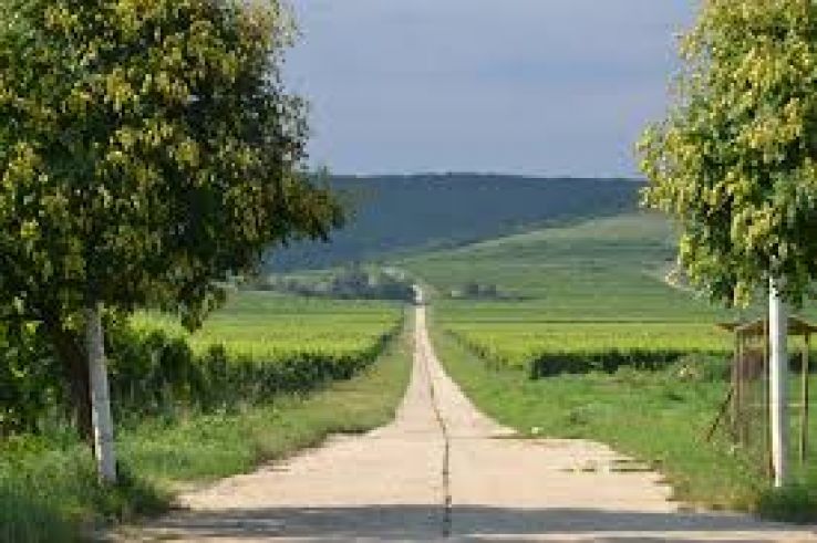 Tokaj Trip Packages