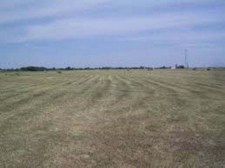 Hodmezovasarhely Trip Packages