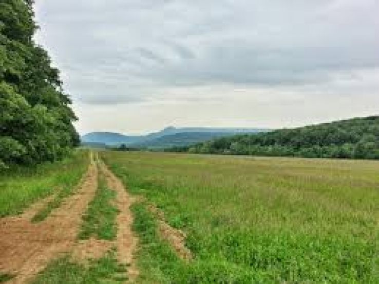 Nagykovacsi Trip Packages