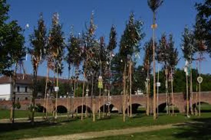 Sarvar Trip Packages