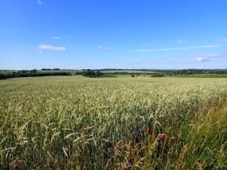 Harlev Trip Packages