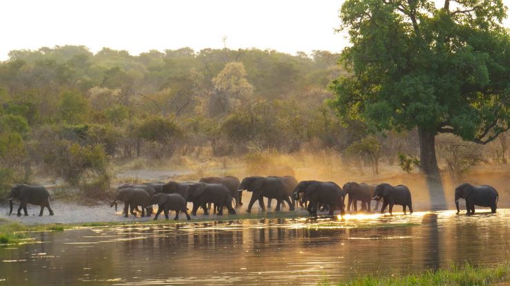 Caprivi Trip Packages