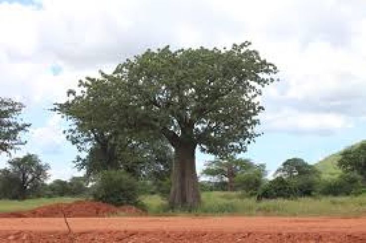 Dodoma Trip Packages