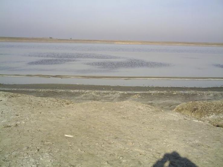 Movila Miresii Trip Packages