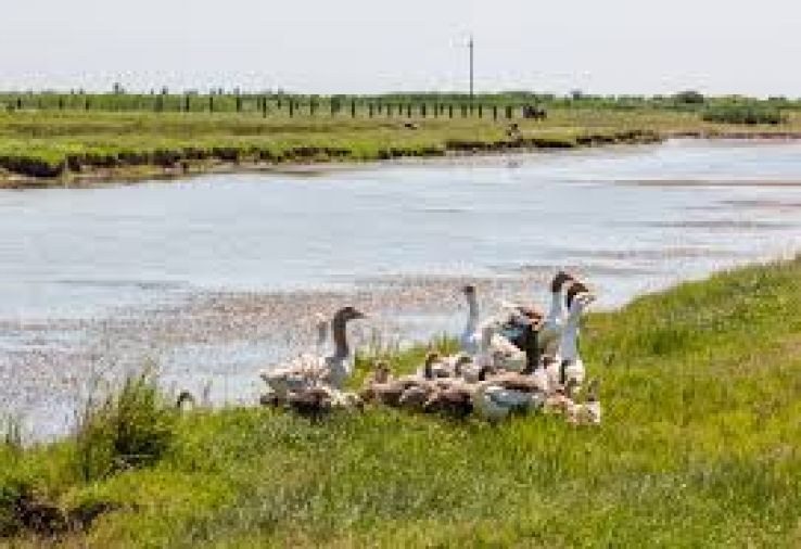 Surdila-Greci Trip Packages