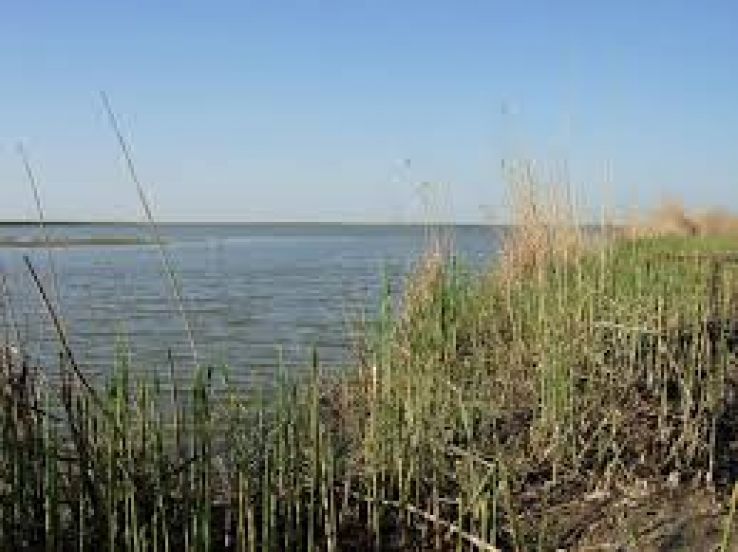 Robeasca Trip Packages