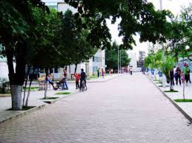 Videle Trip Packages