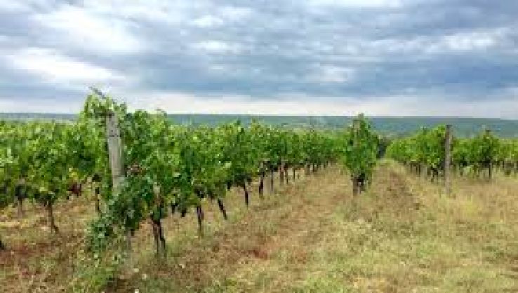 Dragasani Trip Packages Dragasani Trip Packages