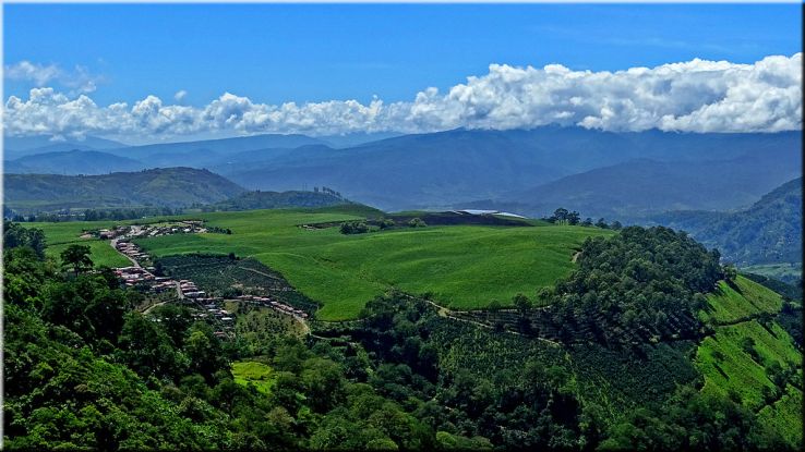 Juan Vinas Trip Packages Juan Vinas Trip Packages