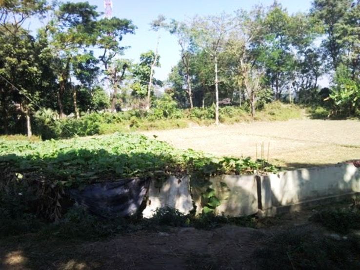 Chhagalnaiya Trip Packages