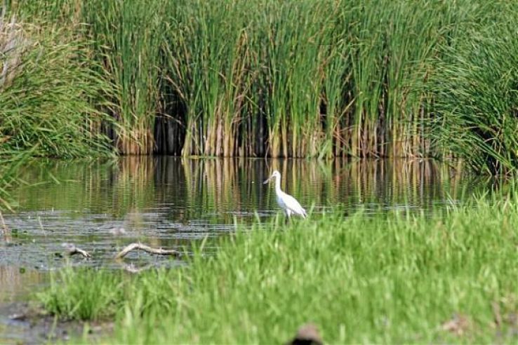 Satchinez Trip Packages