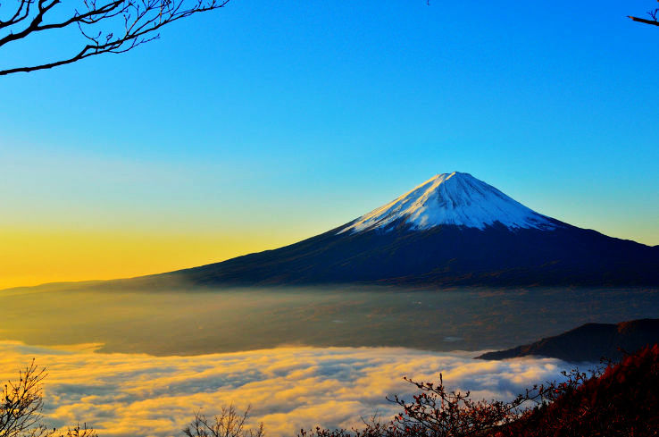 Fuji Trip Packages