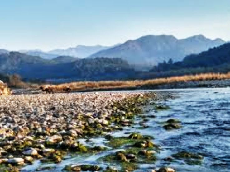 Jim Corbett 3 Days 2 Nights package by Beyond Stay Pvt. Ltd.