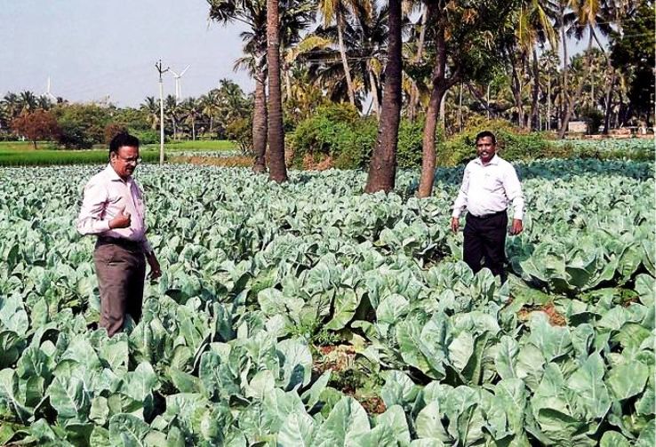 Surandai Trip Packages