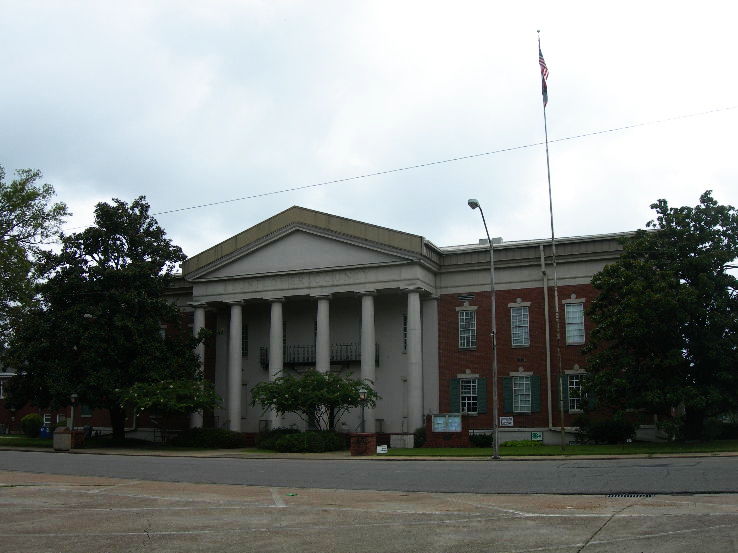 Sunflower Trip Packages