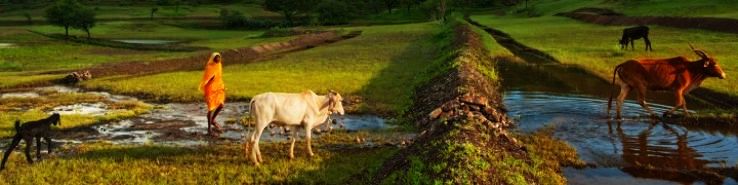 Jamkhed Trip Packages