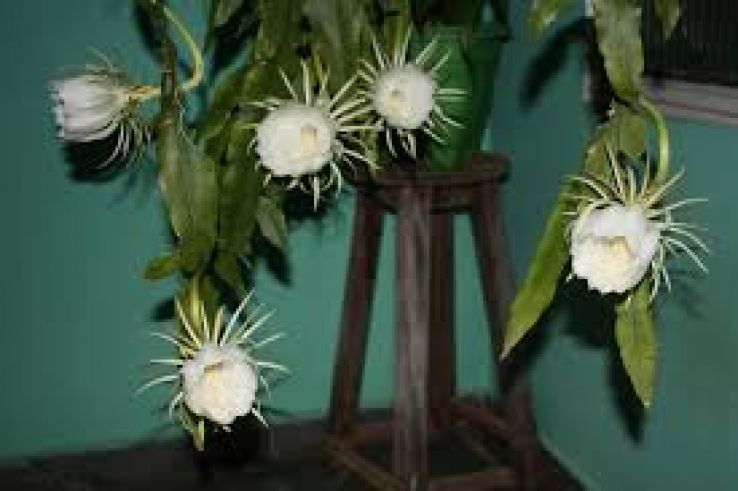 Paranavai Trip Packages