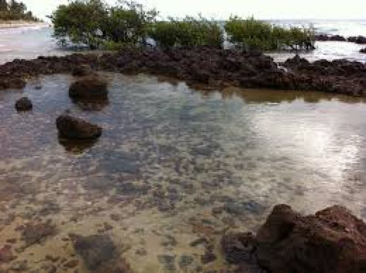 Floresta Trip Packages